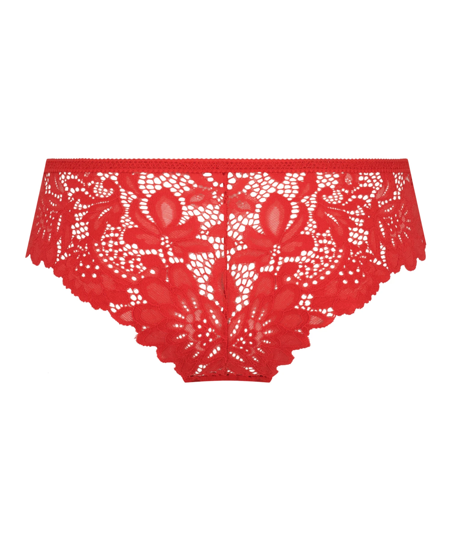 Brazilian Shiloh 9 Brazilian Shiloh – Bild 7