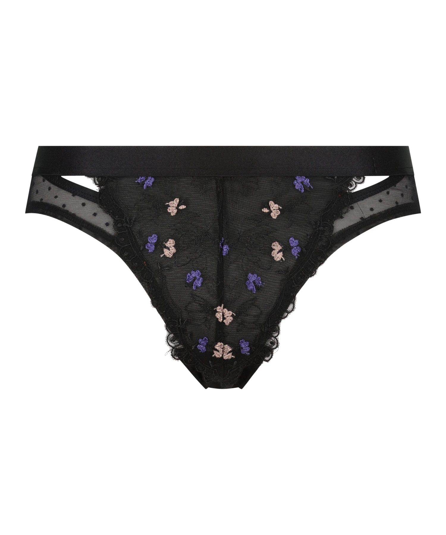 Brazilian Violet 6 Brazilian Violet – Bild 4